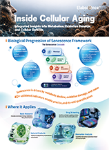 Inside Cellular Aging (2605)
